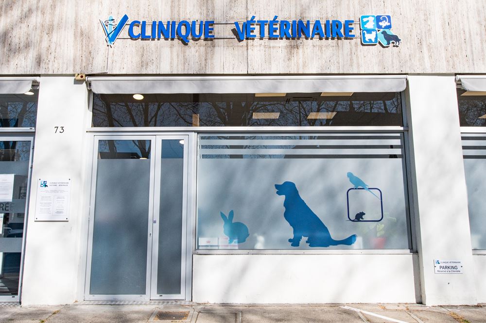 Clinique vétérinaire transportable